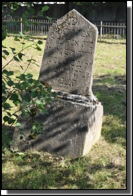 The Jewish cemetery of Dagda. September 2009