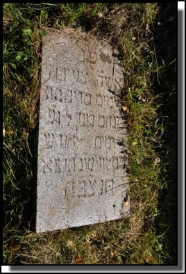 The Jewish cemetery of Dagda. September 2009