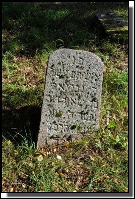 The Jewish cemetery of Dagda. September 2009