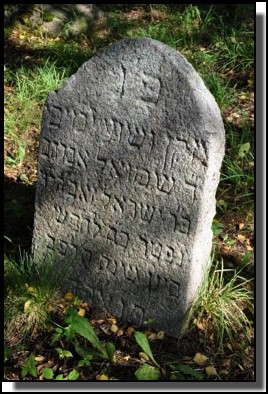 The Jewish cemetery of Dagda. September 2009