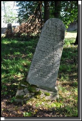 The Jewish cemetery of Dagda. September 2009