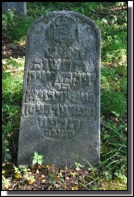 The Jewish cemetery of Dagda. September 2009