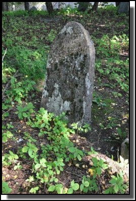 The Jewish cemetery of Dagda. September 2009