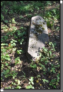 The Jewish cemetery of Dagda. September 2009