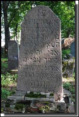 The Jewish cemetery of Dagda. September 2009