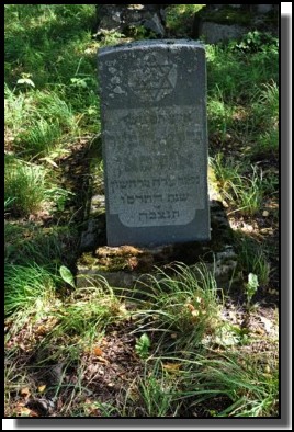 The Jewish cemetery of Dagda. September 2009