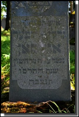 The Jewish cemetery of Dagda. September 2009