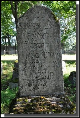 The Jewish cemetery of Dagda. September 2009