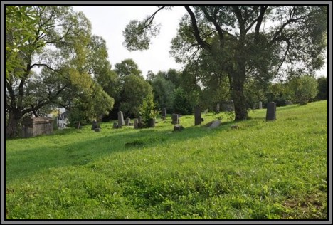 The Jewish cemetery of Kelme. August 2009