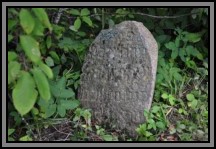 Tombstone in the Kelme cemetery. August 2009