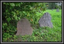 Tombstone in the Kelme cemetery. August 2009