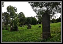 Tombstone in the Kelme cemetery. August 2009