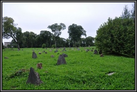 The Jewish cemetery of Kelme. August 2009