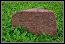 Tombstone in the Kelme cemetery. August 2009