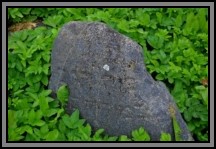 Tombstone in the Kelme cemetery. August 2009