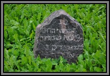 Tombstone in the Kelme cemetery. August 2009