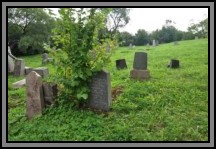 Tombstone in the Kelme cemetery. August 2009