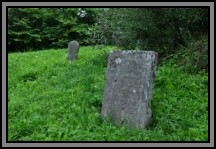 Tombstone in the Kelme cemetery. August 2009