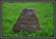 Tombstone in the Kelme cemetery. August 2009