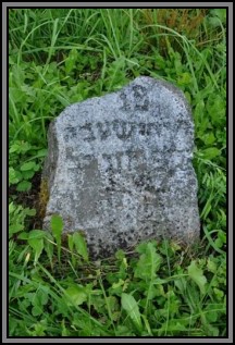 Tombstone in the Kelme cemetery. August 2009