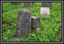 Tombstone in the Kelme cemetery. August 2009