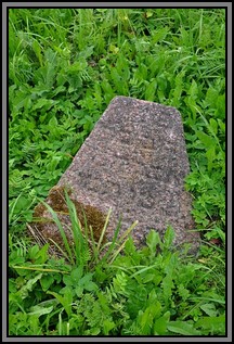 Tombstone in the Kelme cemetery. August 2009