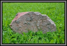 Tombstone in the Kelme cemetery. August 2009