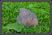 Tombstone in the Kelme cemetery. August 2009