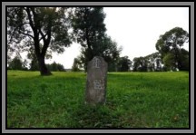 Tombstone in the Kelme cemetery. August 2009