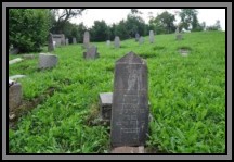 Tombstone in the Kelme cemetery. August 2009