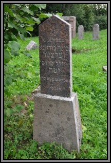 Tombstone in the Kelme cemetery. August 2009