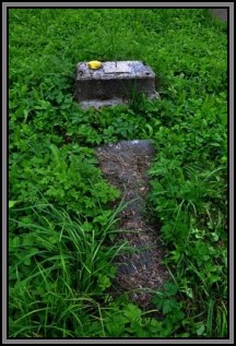 Tombstone in the Kelme cemetery. August 2009