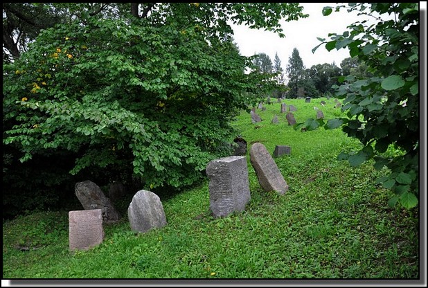 The Jewish cemetery of Kelme. August 2009