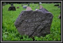 Tombstone in the Kelme cemetery. August 2009