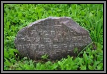 Tombstone in the Kelme cemetery. August 2009