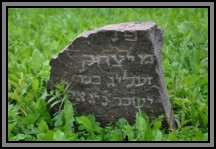 Tombstone in the Kelme cemetery. August 2009