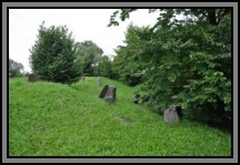 Tombstone in the Kelme cemetery. August 2009