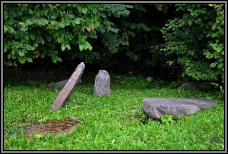 The Jewish cemetery of Kelme. August 2009