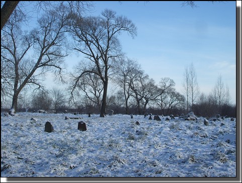 Le cimetiere Juif de Kelme, Lituanie sous la neige. Le 26 Novembre 2010