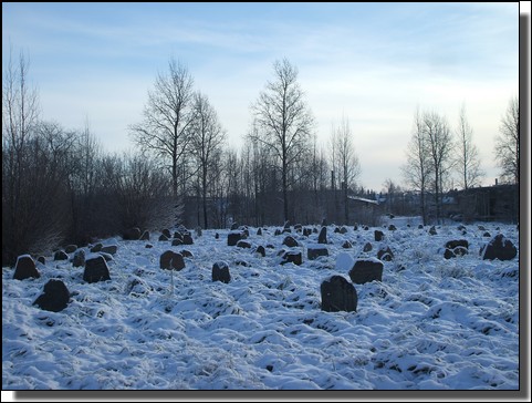 Le cimetiere Juif de Kelme, Lituanie sous la neige. Le 26 Novembre 2010