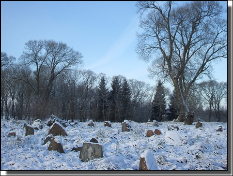 Le cimetiere Juif de Kelme, Lituanie sous la neige. Le 26 Novembre 2010