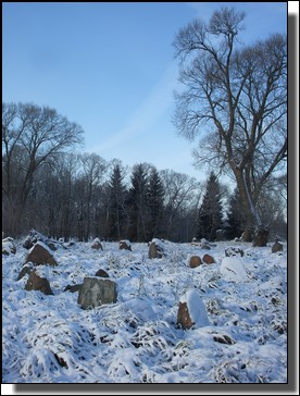 Le cimetiere Juif de Kelme, Lituanie sous la neige. Le 26 Novembre 2010