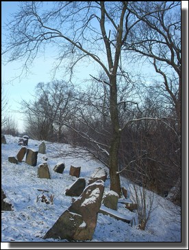 Le cimetiere Juif de Kelme, Lituanie sous la neige. Le 26 Novembre 2010