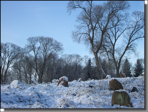 Le cimetiere Juif de Kelme, Lituanie sous la neige. Le 26 Novembre 2010