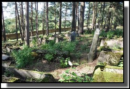 The Jewish cemetery of Livani. Latvia. September 2009