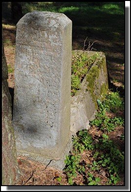 The Jewish cemetery of Livani. Latvia. September 2009