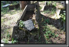 The Jewish cemetery of Livani. Latvia. September 2009