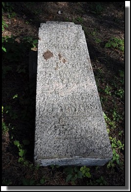 The Jewish cemetery of Livani. Latvia. September 2009