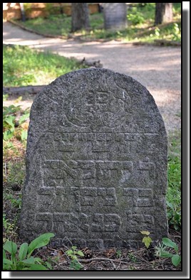 The Jewish cemetery of Livani. Latvia. September 2009