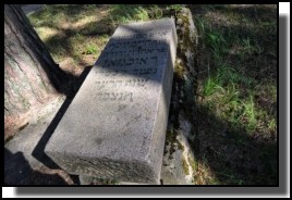 The  Jewish cemetery of Livani. Latvia. September 2009